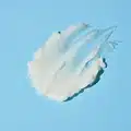 بالم پاک کننده دوکدو 1025راندلب