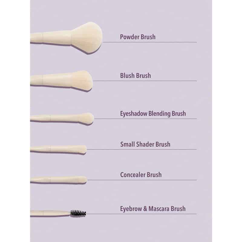 ست براش 6 عددی شیگلم SHEGLAM مدل Pro Care رنگ Beige