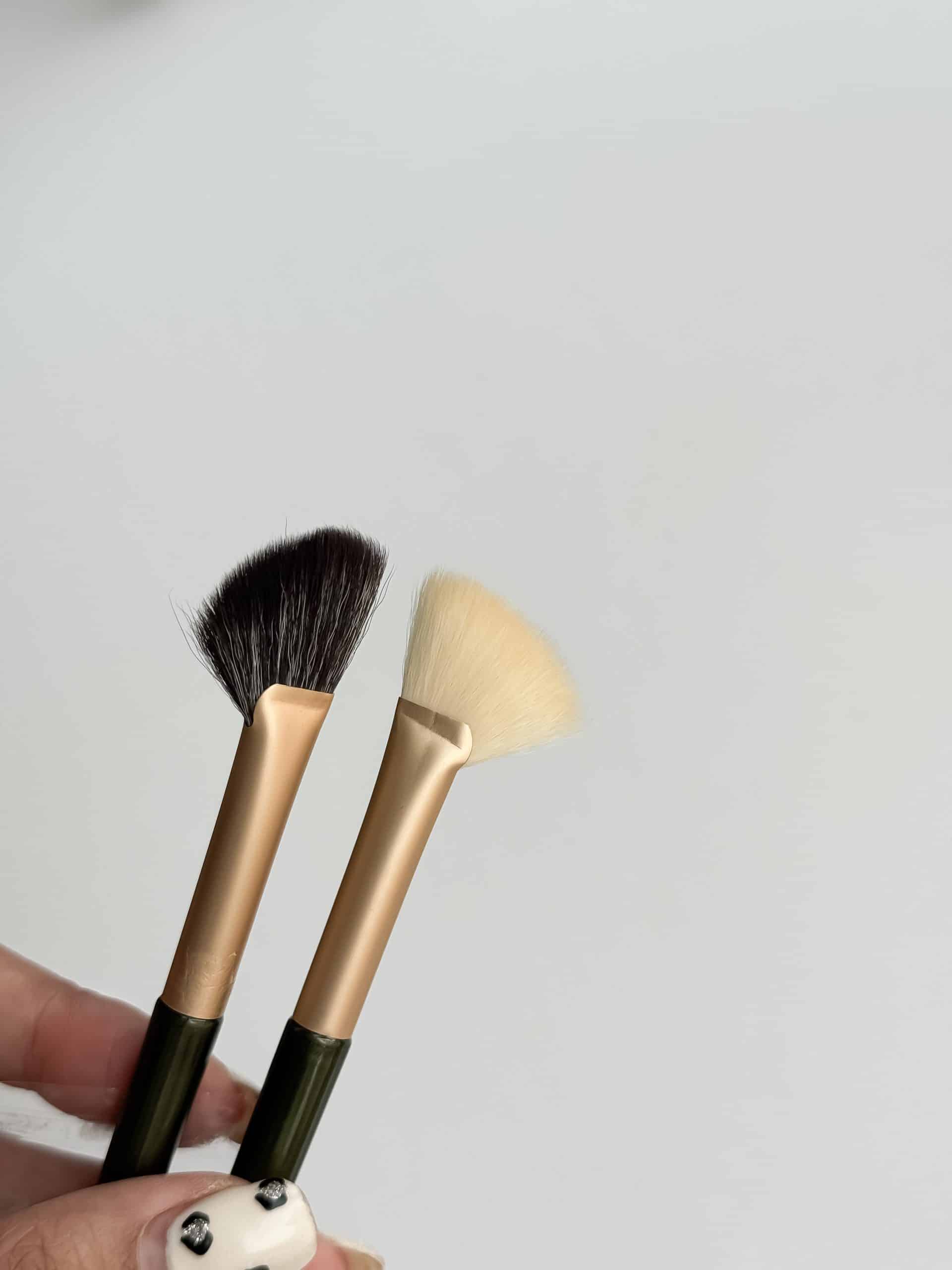 براش بادبزنی دوعددی sacchetto