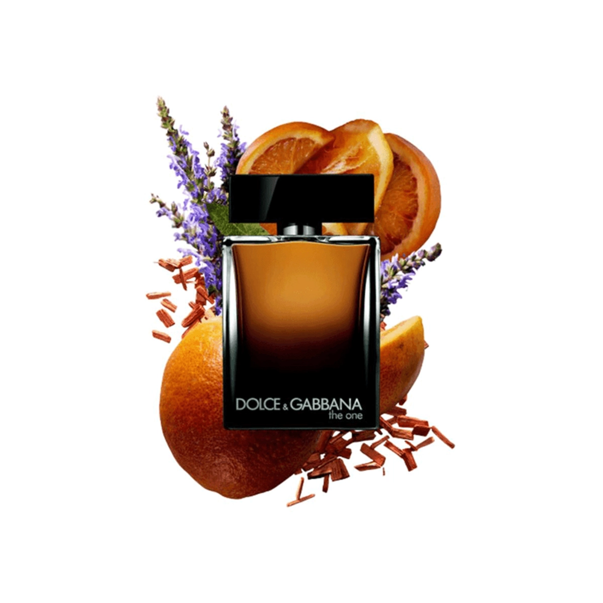 عطر ادکلن مردانه دولچه گابانا د وان 100 میل | Dolce Gabbana The One for Men EDP
